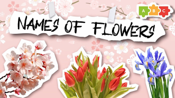 Names of flowers