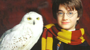 Гарри Поттер